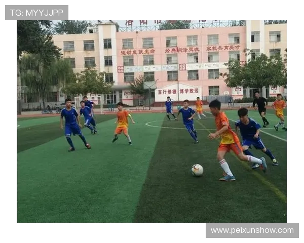 从零基础到足球高手全面指南助你掌握足球力量与技巧的完美攻略